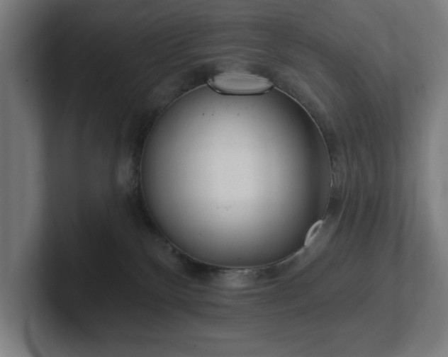 X0000102310136200808011430