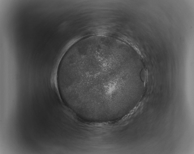 X0000102310147200808011430