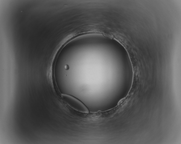 X0000102310148200808011430