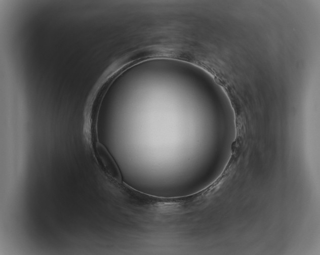 X0000102310150200808011430