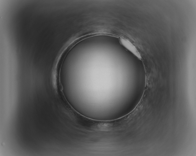 X0000102310152200808011430