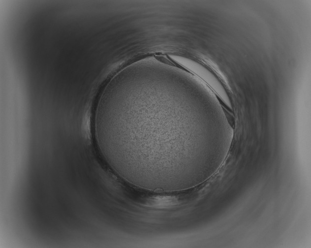 X0000102310154200808011430