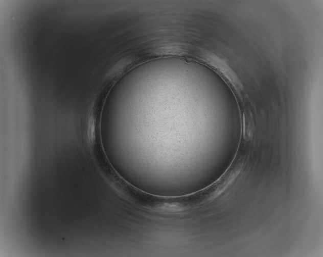 X0000102310157200808011430