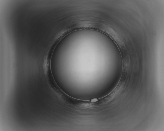 X0000102310160200808011430