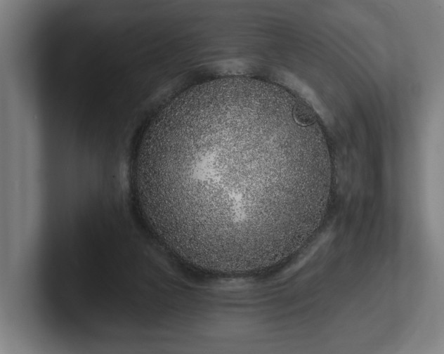 X0000102310161200808011430