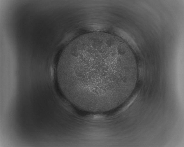 X0000102310165200808011430