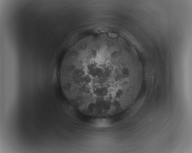 X0000102310169200808011430