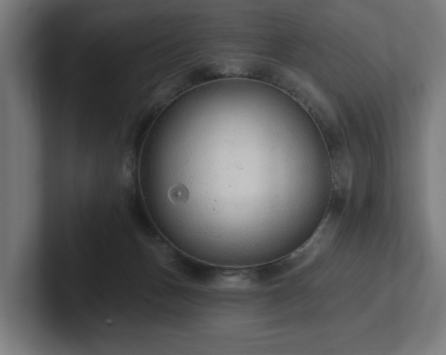 X0000102310175200808011430