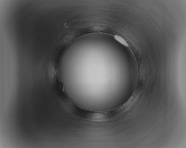 X0000102310176200808011430