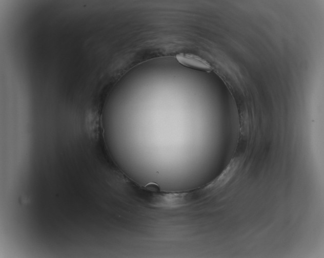 X0000102310184200808011430