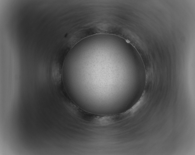 X0000102310186200808011430