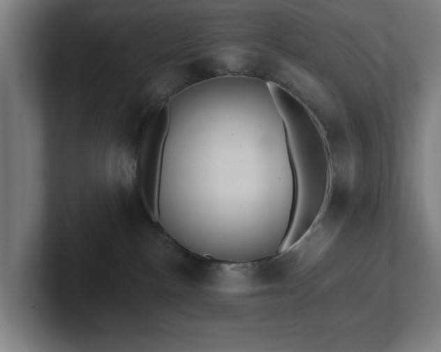 X0000102310188200808011430