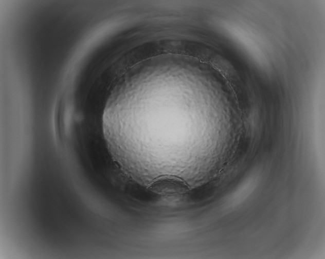 X0000102310189200808011430