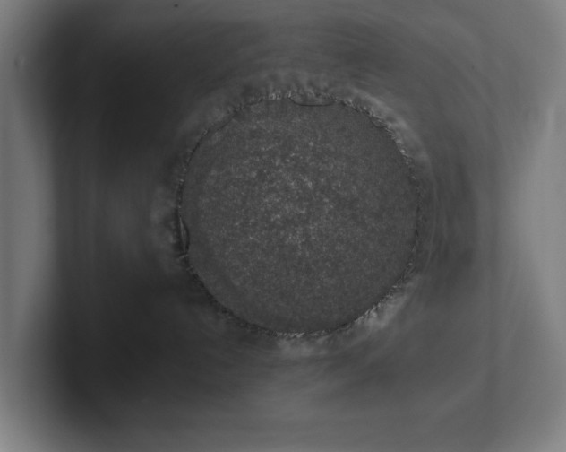 X0000102310192200808011430