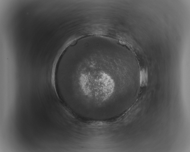 X0000102310195200808011430