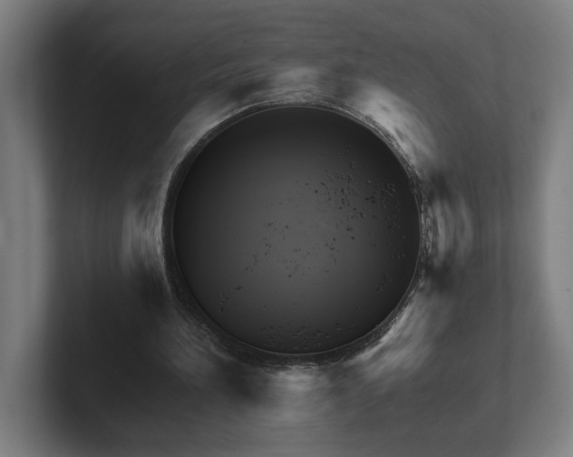 X0000102310196200808011430