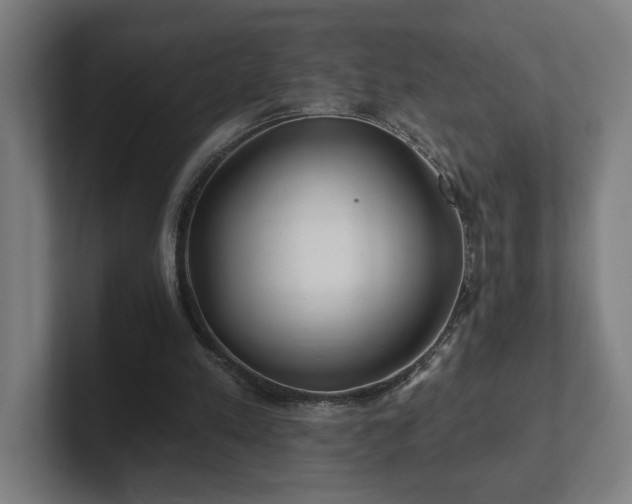 X0000102310197200808011430