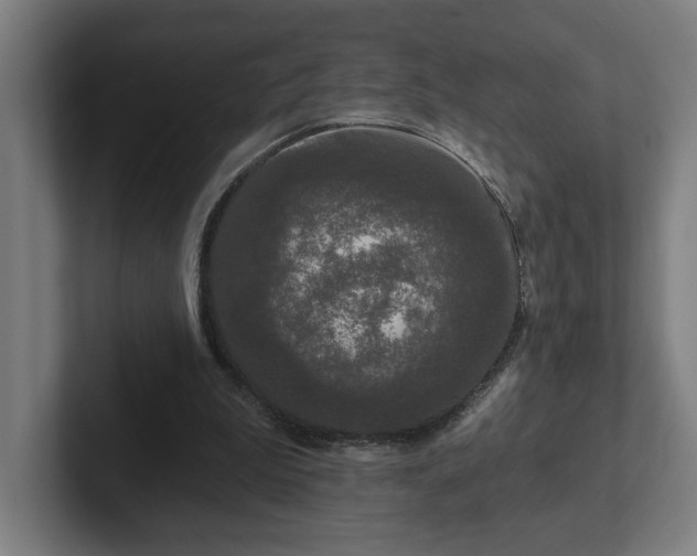 X0000102310199200808011430