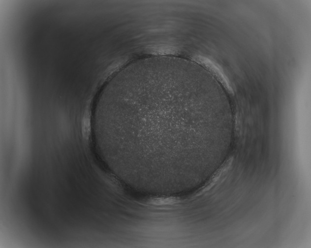 X0000102310202200808011429