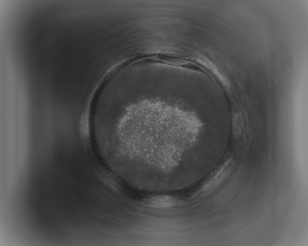 X0000102310203200808011429