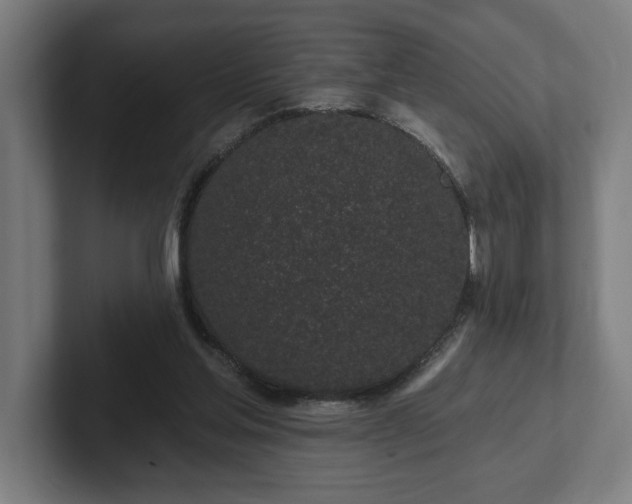 X0000102310205200808011429