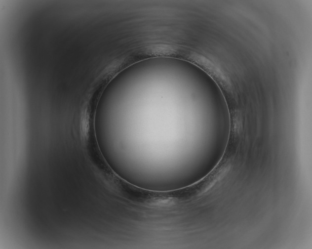 X0000102310206200808011429