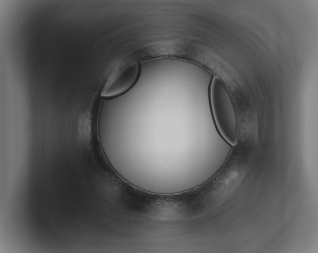 X0000102310207200808011429