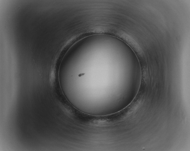 X0000102310208200808011429