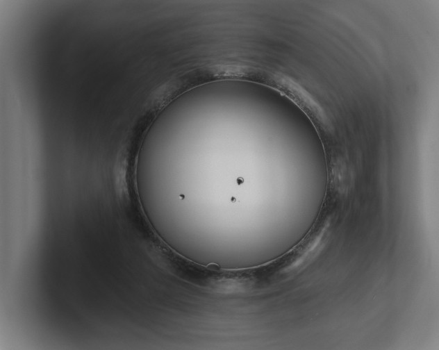 X0000102310209200808011429