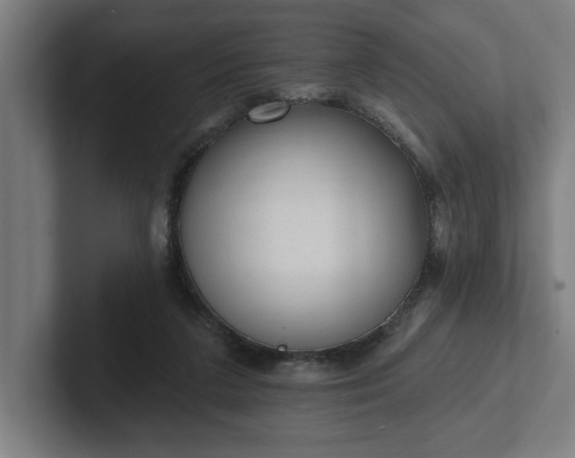 X0000102310211200808011429