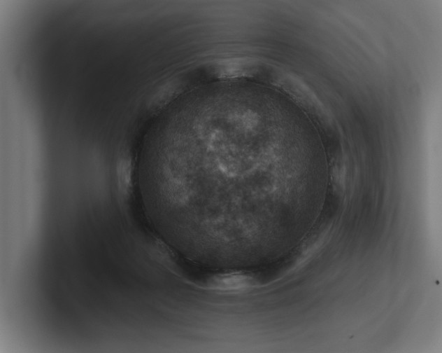 X0000102310219200808011429