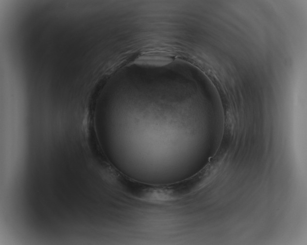 X0000102310223200808011429