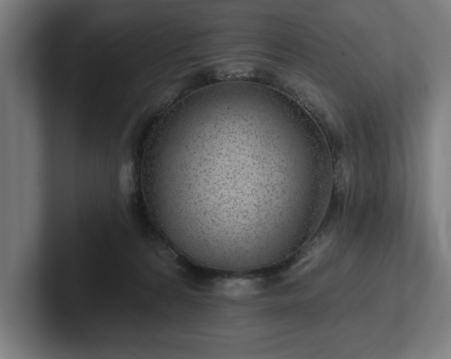 X0000102310224200808011429