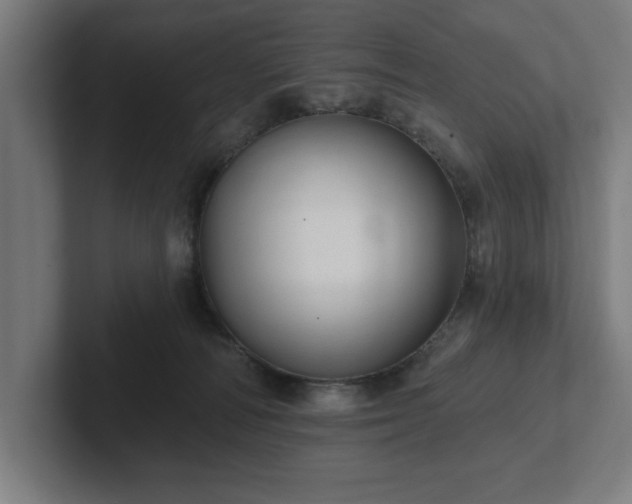 X0000102310226200808011429