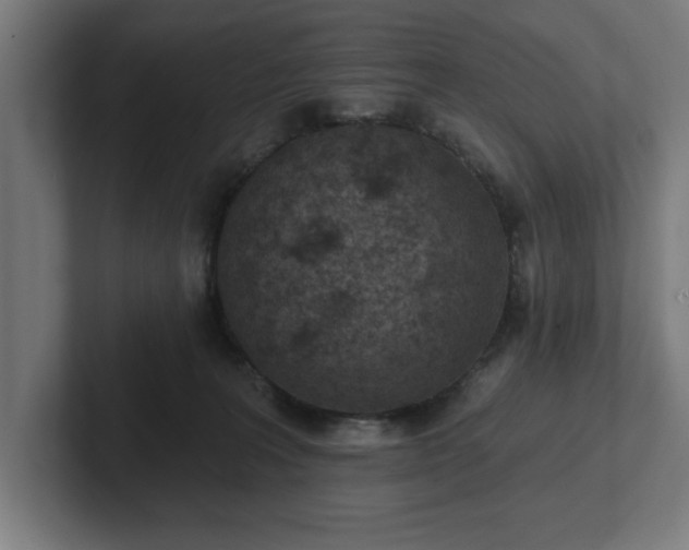 X0000102310227200808011429