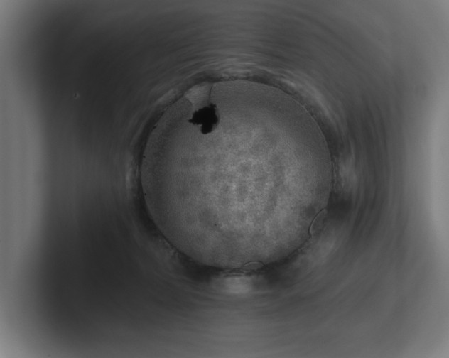 X0000102310228200808011429