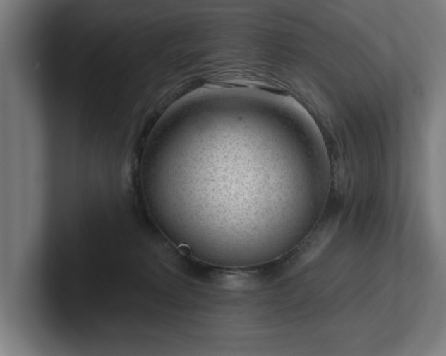 X0000102310229200808011429