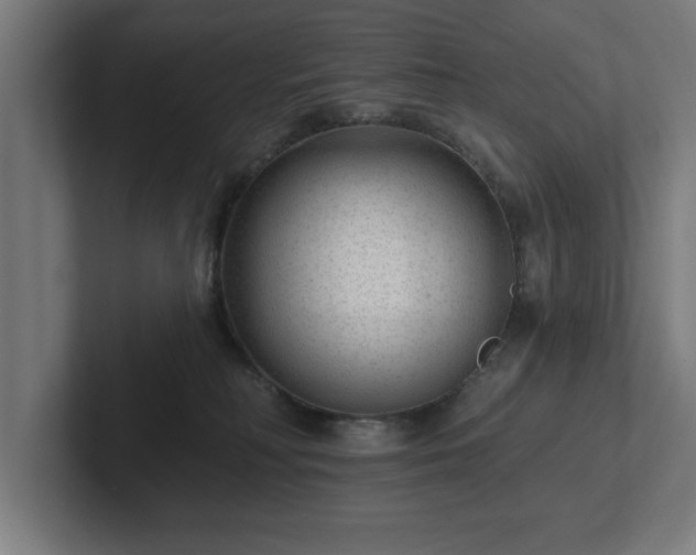 X0000102310230200808011429