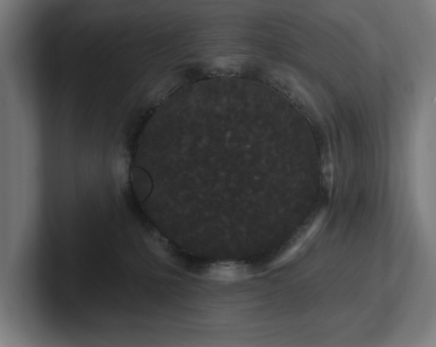 X0000102310231200808011429