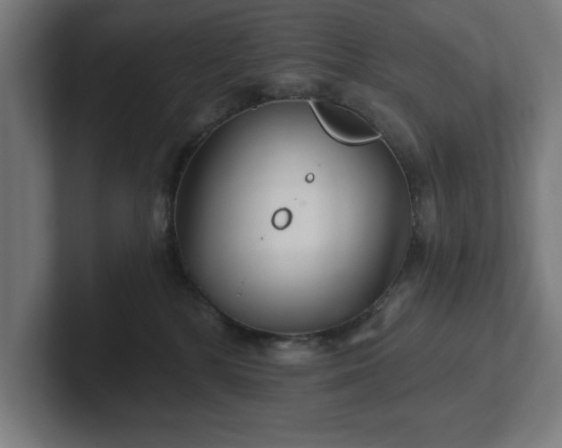 X0000102310232200808011429