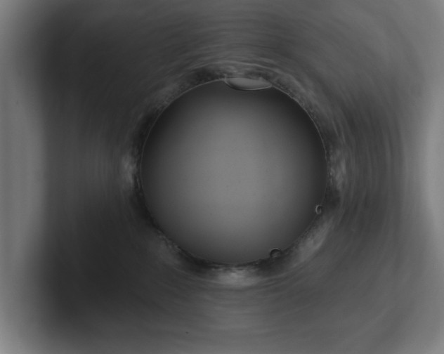 X0000102310235200808011429