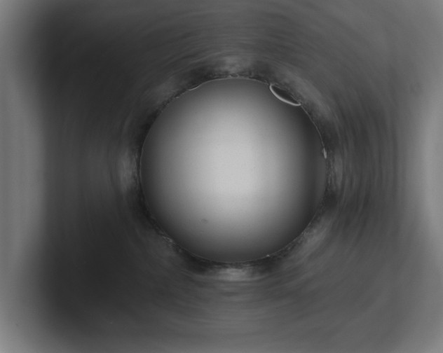 X0000102310236200808011429