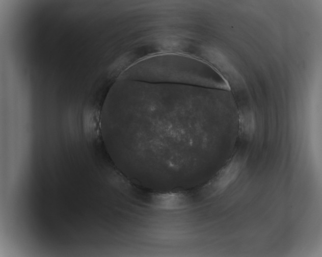 X0000102310237200808011429