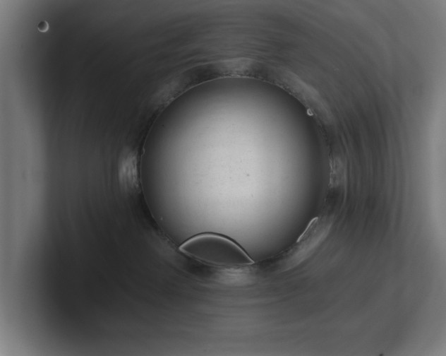 X0000102310238200808011429