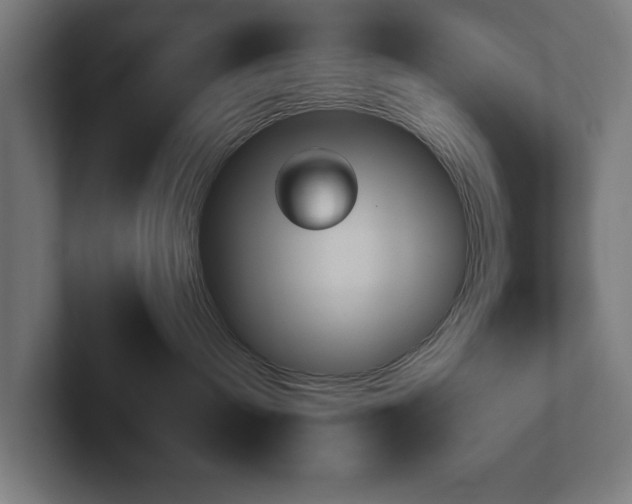 X0000102310240200808011429