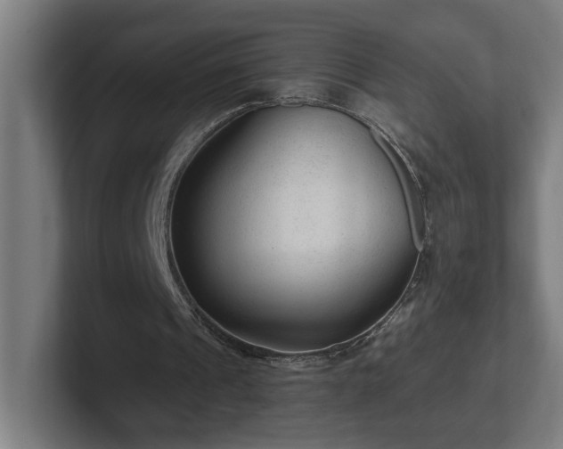 X0000102310241200808011428