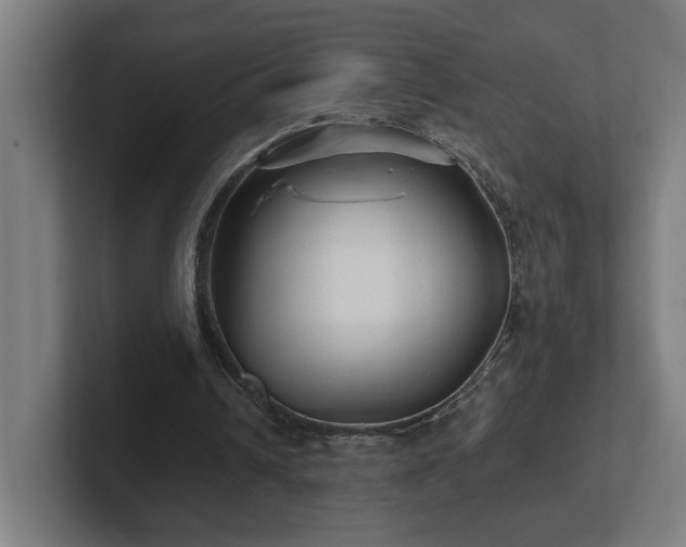 X0000102310242200808011428