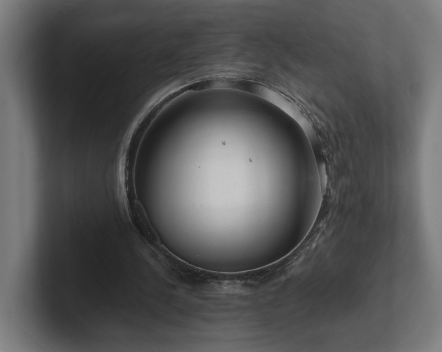 X0000102310244200808011428