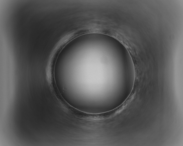 X0000102310245200808011428