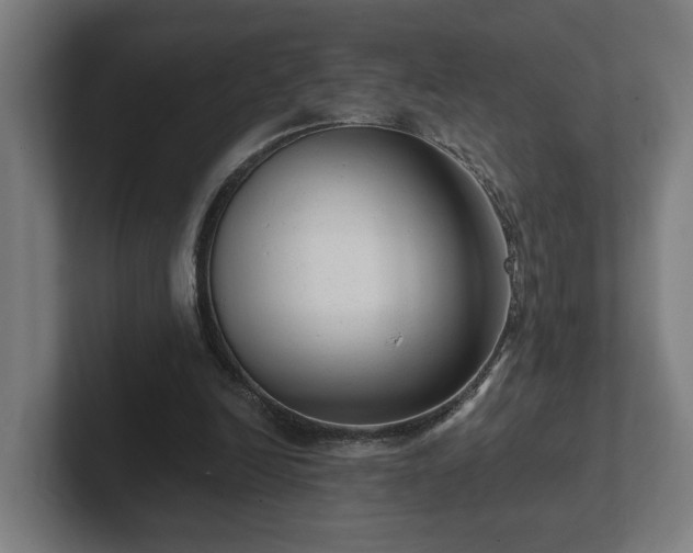 X0000102310246200808011428